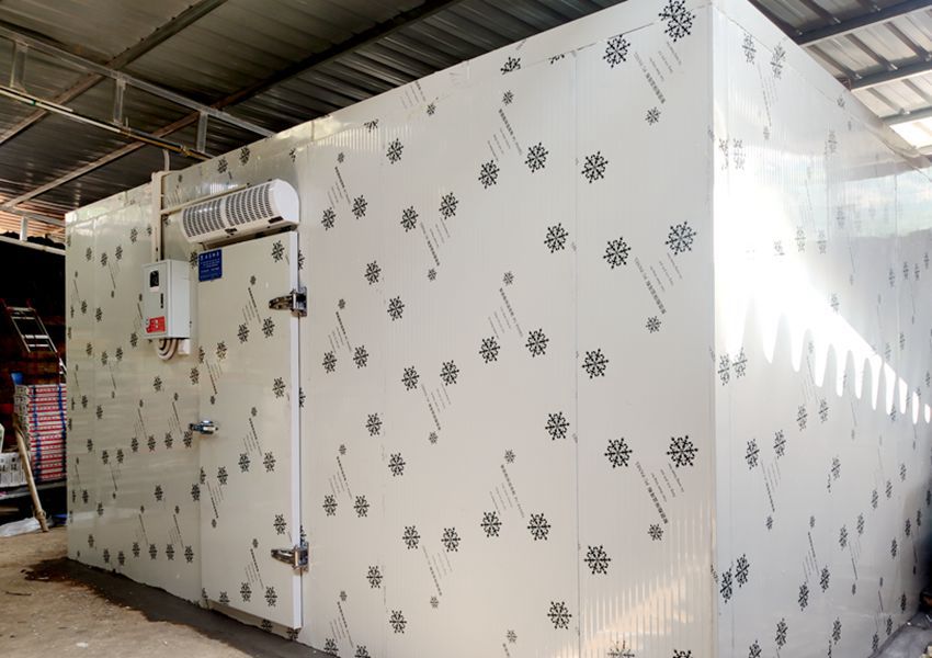 重庆冷库建设安装-35度速冻冷库费用造价是多少？ 